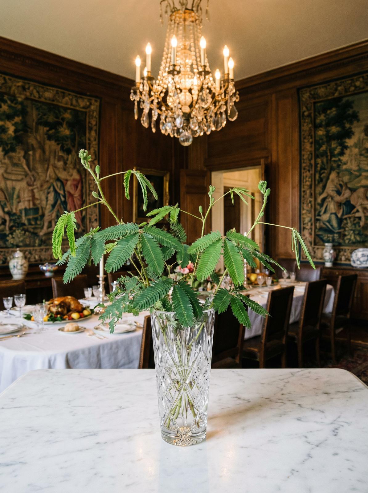 抖阴含羞草视频教程